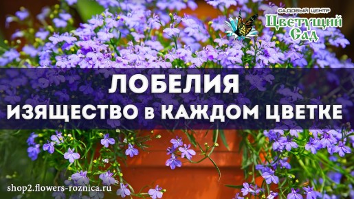 �������: ��� ������� ����� �������� ���� � ���� ����