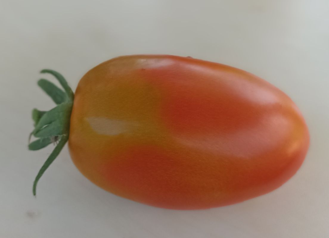 ��� �������� ����������� ������ �� ���� ���������� � ��������������