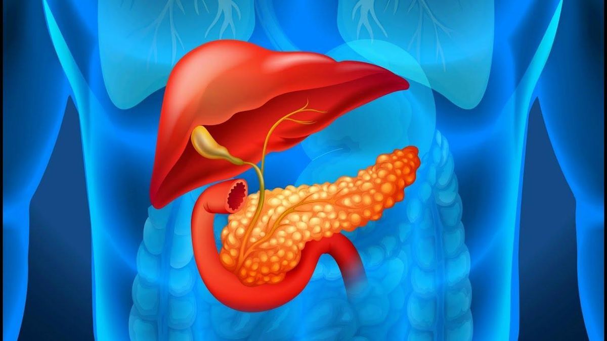 Как три утренние привычки негативно влияют на поджелудочную и что с этим делать