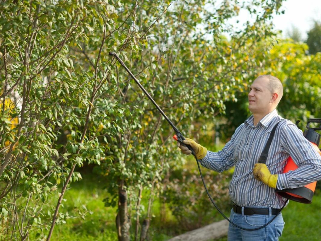 ��� �� ����� ������� ��������� ������ � ���� � �������� ���� ������