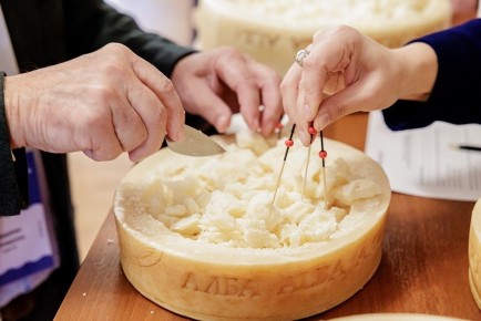 ����, ������� ������� ���� ��������: ��� �������