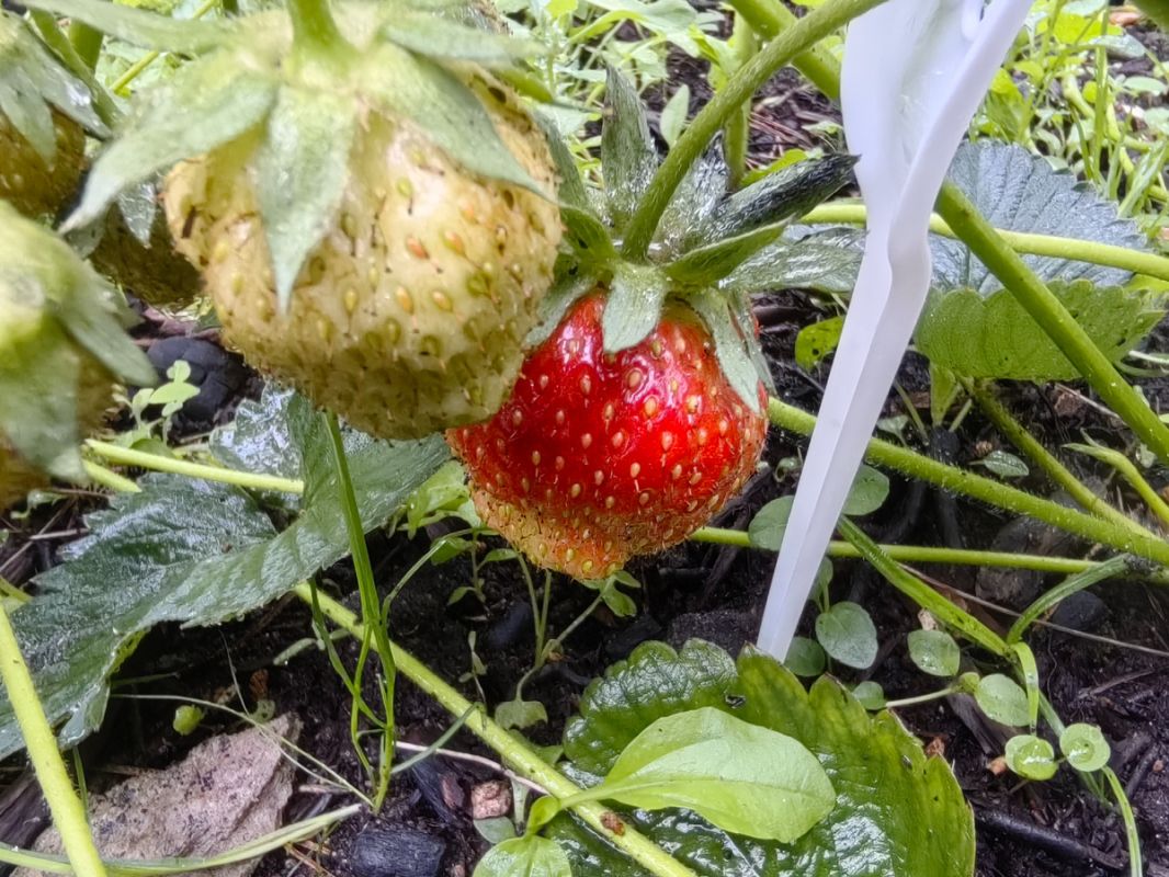 ��� �������� �������� �� ����: �������� ������� ���������