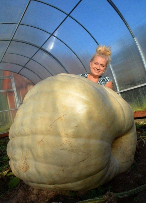 ����������� �� ������� �����: ��� ��������� ����� �������� ������ ��������