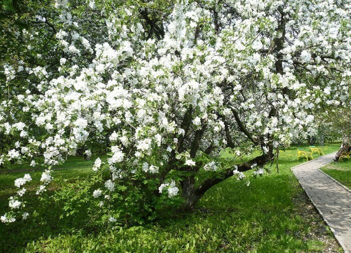 ��� �������� ��� �� ������ ����������: �������� ������ ��� ���������