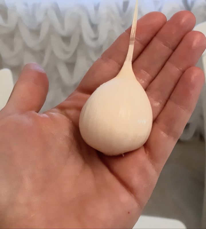 ������� ���������� �������: ������ ��� ��������