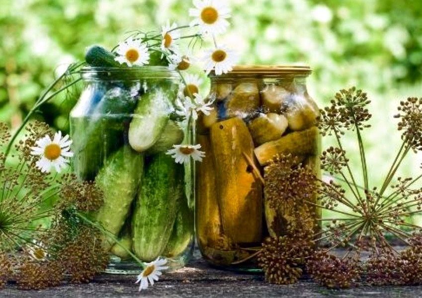 ���������� �� ������ ����������: ������� �� ������ ��������� ��������