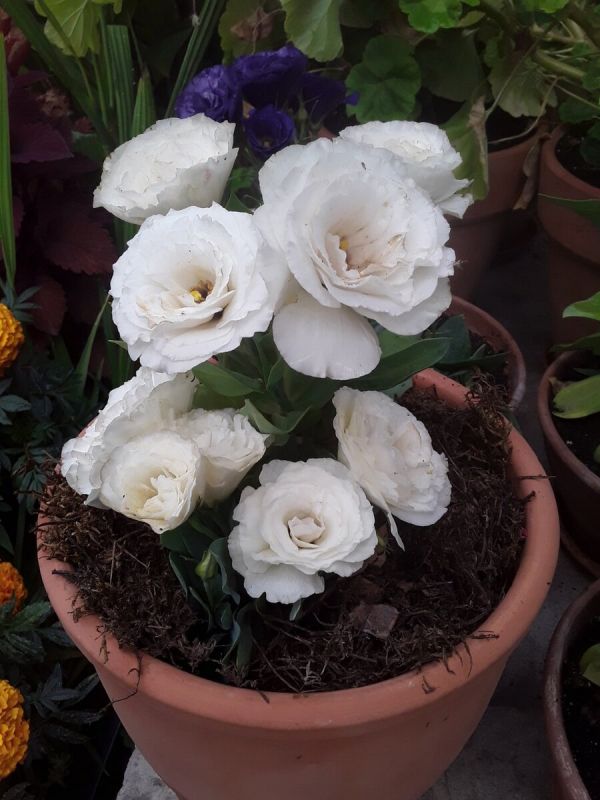 �������: ��������� ����� � ���������� ����� � ���� ������