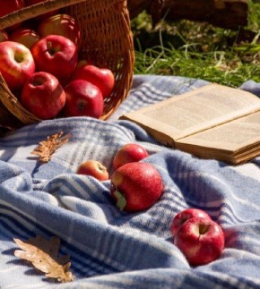 Как правильно питаться осенью для укрепления иммунитета