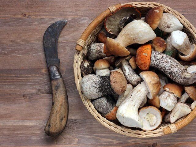 ������� ������: � ����� ���������� ��������� ���������� ����� ������������ ������