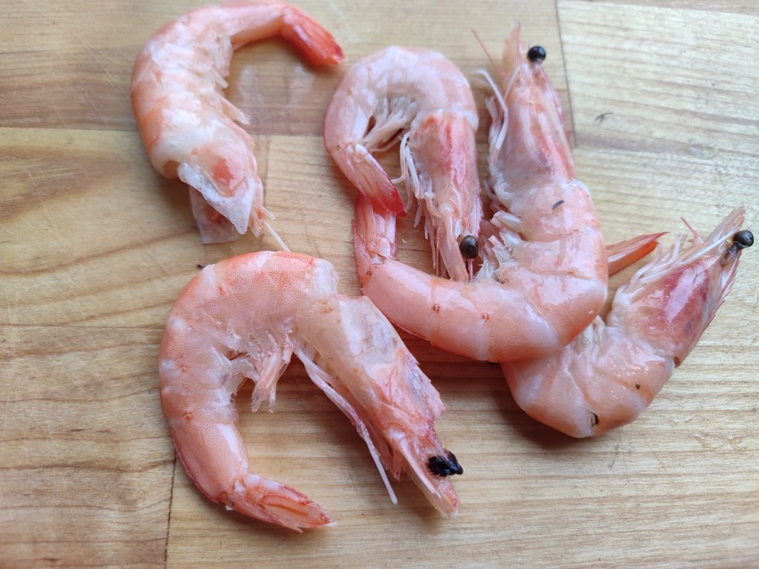 ����������� ������ ������ �������� � �������: ������� � ���������� ������� ��� ������ �����