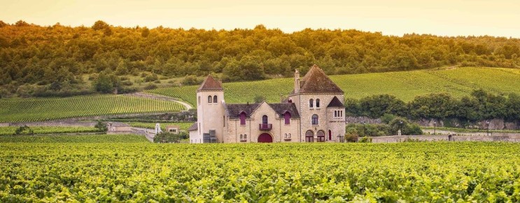 Бордо: Легенды и Вина, Которые Завоевали Мир