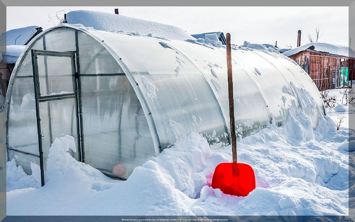 ������� ������ ��������: ������ ����������� ��� ����������