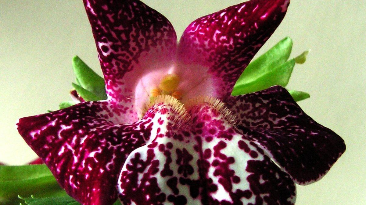 �������: ����� ���� �������, � ������� ����� �����