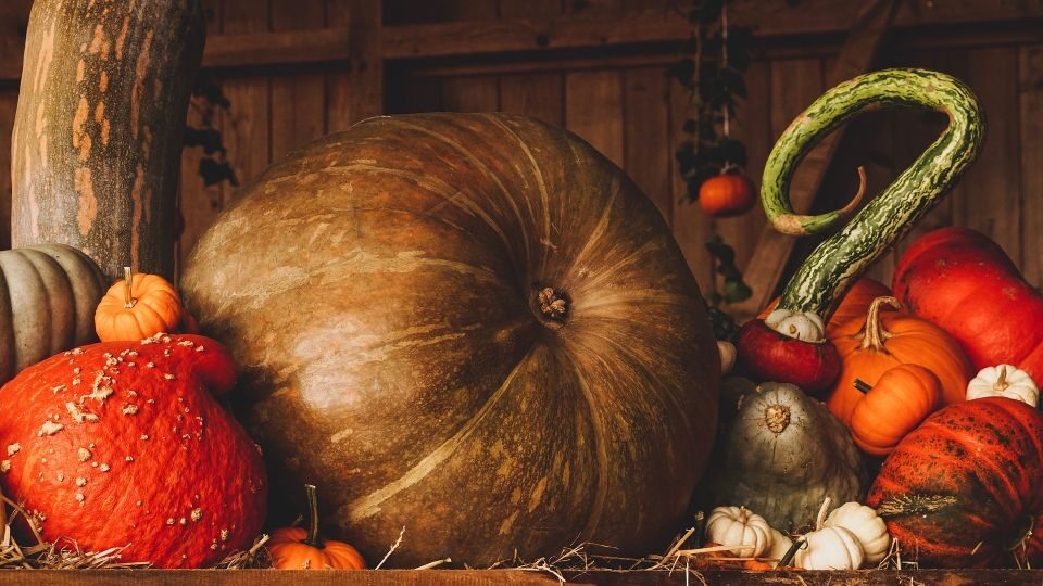 Как сохранить тыквы до весны: секреты долговременного хранения