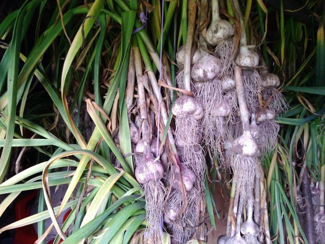 ��� ��������� ������ �� ����� �������: ������ � ������� ��� ��������� ������