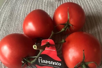 ������ ����� ��������: ��� ��������� ��������� ����� � �������� ��������