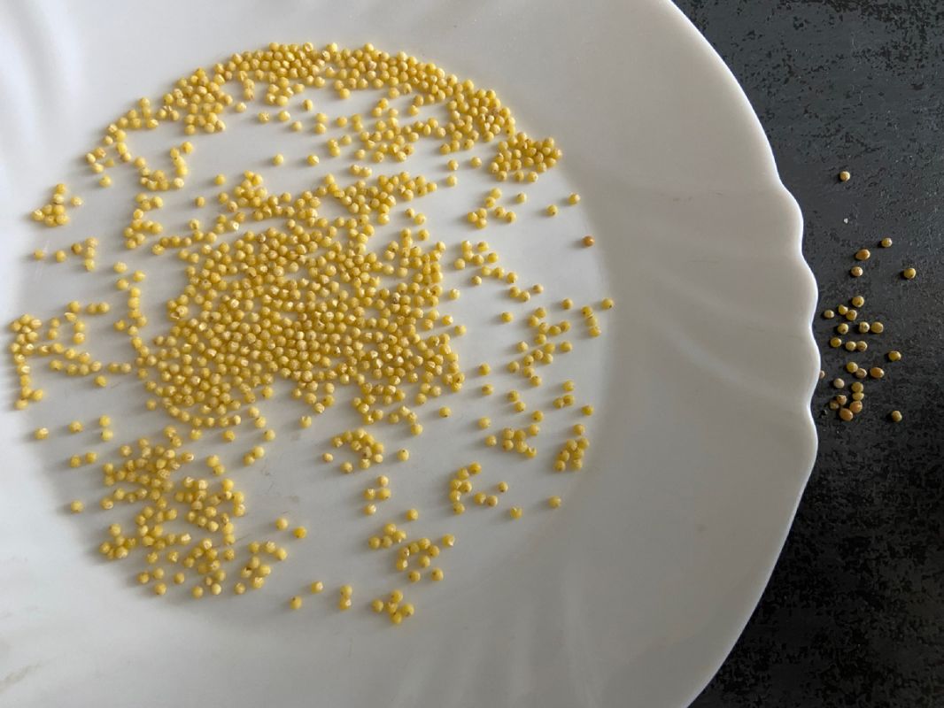 ��� ����������� ��������� ������� ���� �� ������