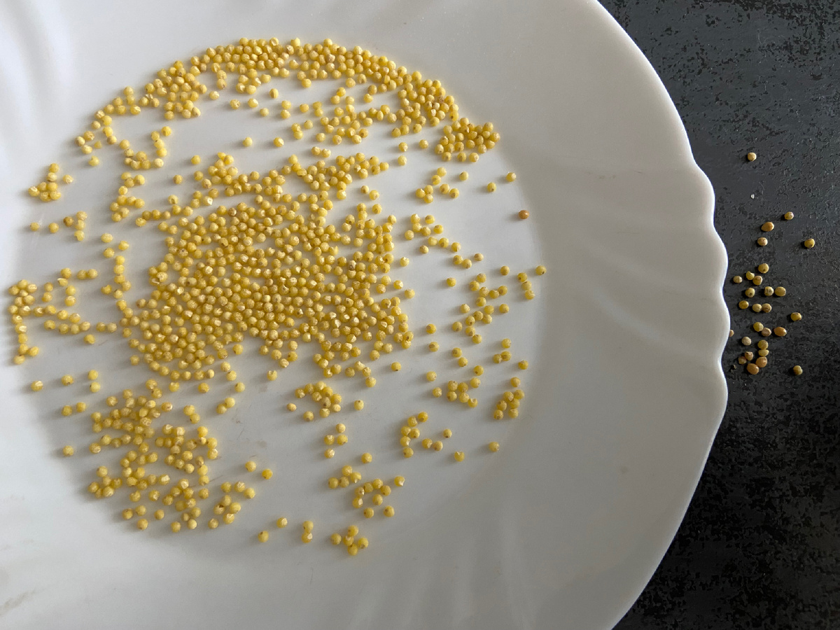 Как приготовить идеальную пшенную кашу на молоке