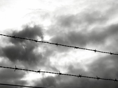 В Иркутске кафе закрыли из-за массового отравления клиентов