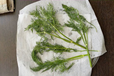 ����������� ������ ����� ������: ������� � ������