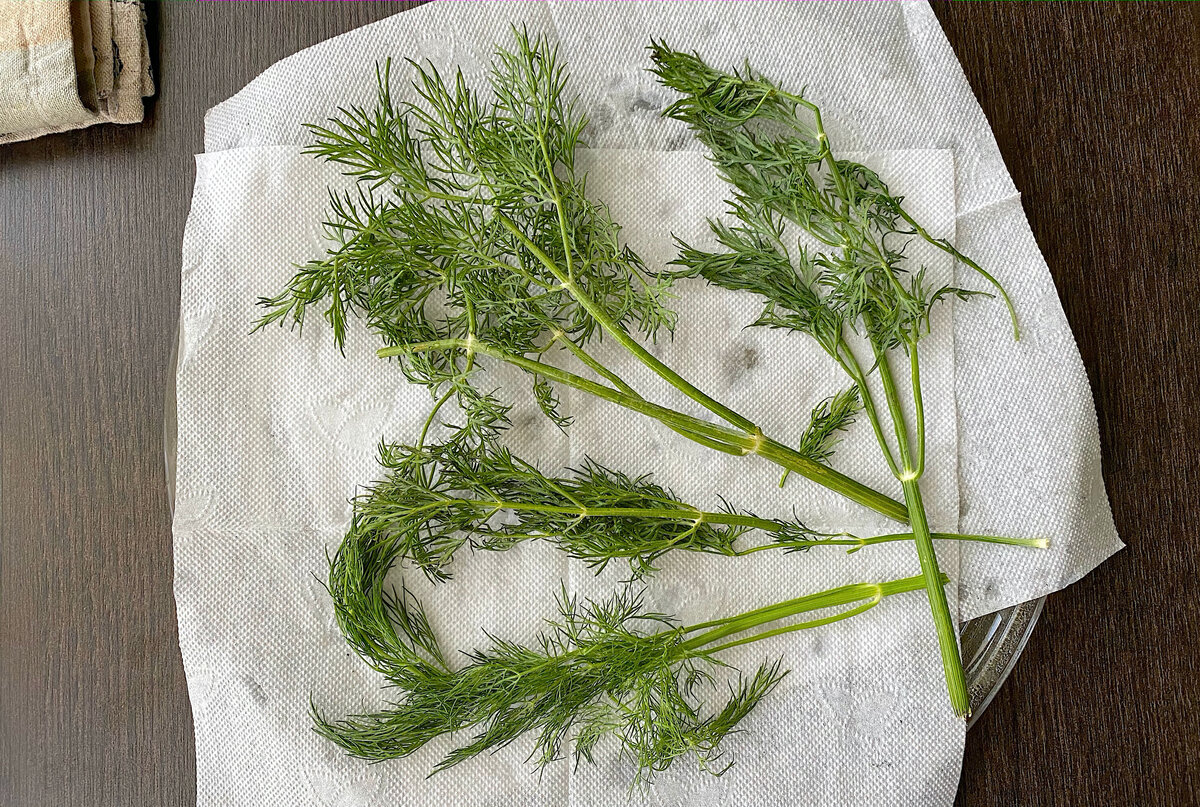 Эффективные методы сушки зелени: секреты и советы