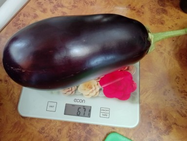 ������������� ������� ���� � �����������, ������� ����� �����