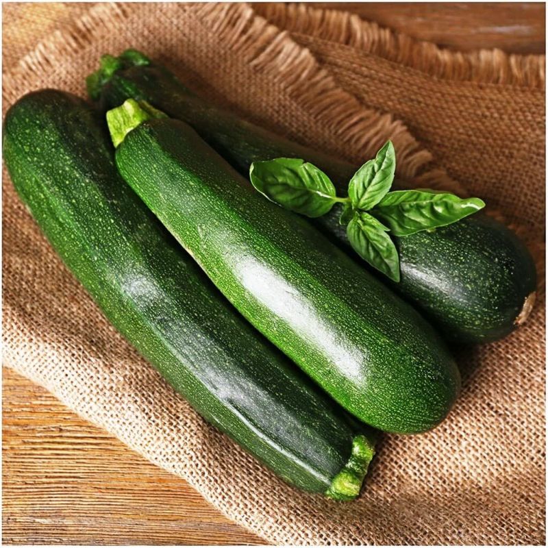 Цуккини для вашего огорода: как выбрать лучшие сорта для урожая