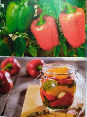 Секреты вкусного маринованного перца для заготовок