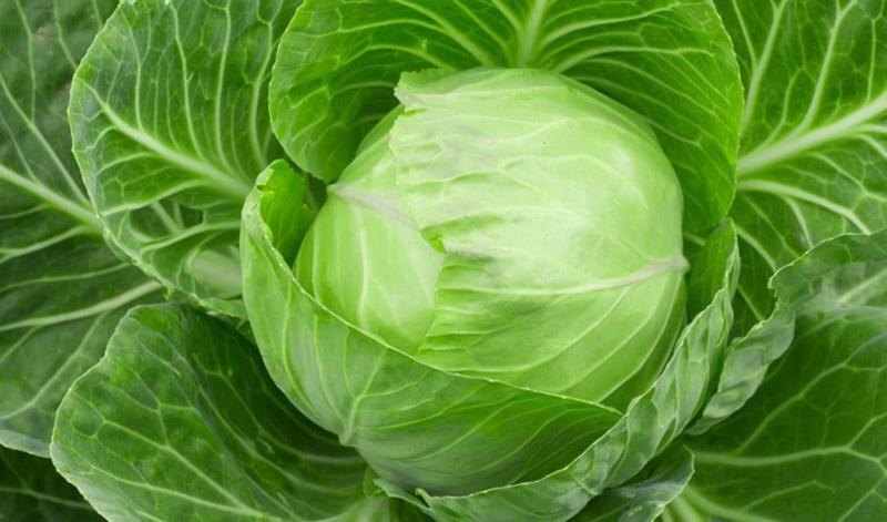 Как замариновать капусту с перцем на зиму: секреты хрустящей закуски