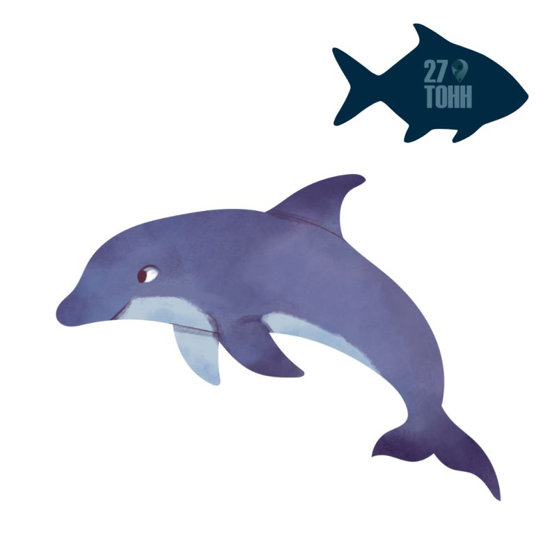 Ошибки, которые стоит избегать при оптовой закупке рыбы