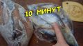 Уникальный метод разморозки рыбы, который сохранит её вкус