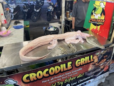 ��������� ��������� ��������: ��� �����������, � ��� ������ ��������