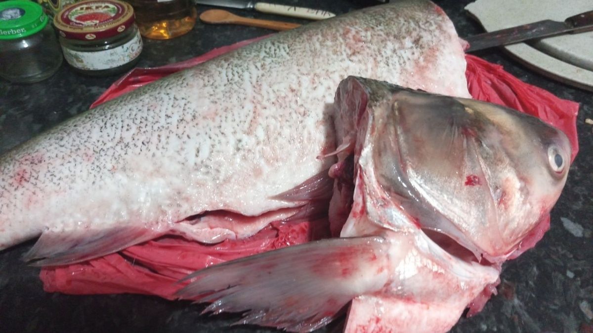 ��� ����������� ��������� ���� ��� �������� ����� � ������� ������