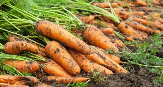 ��� �������� ��������� �������: ������� ����������� ������������