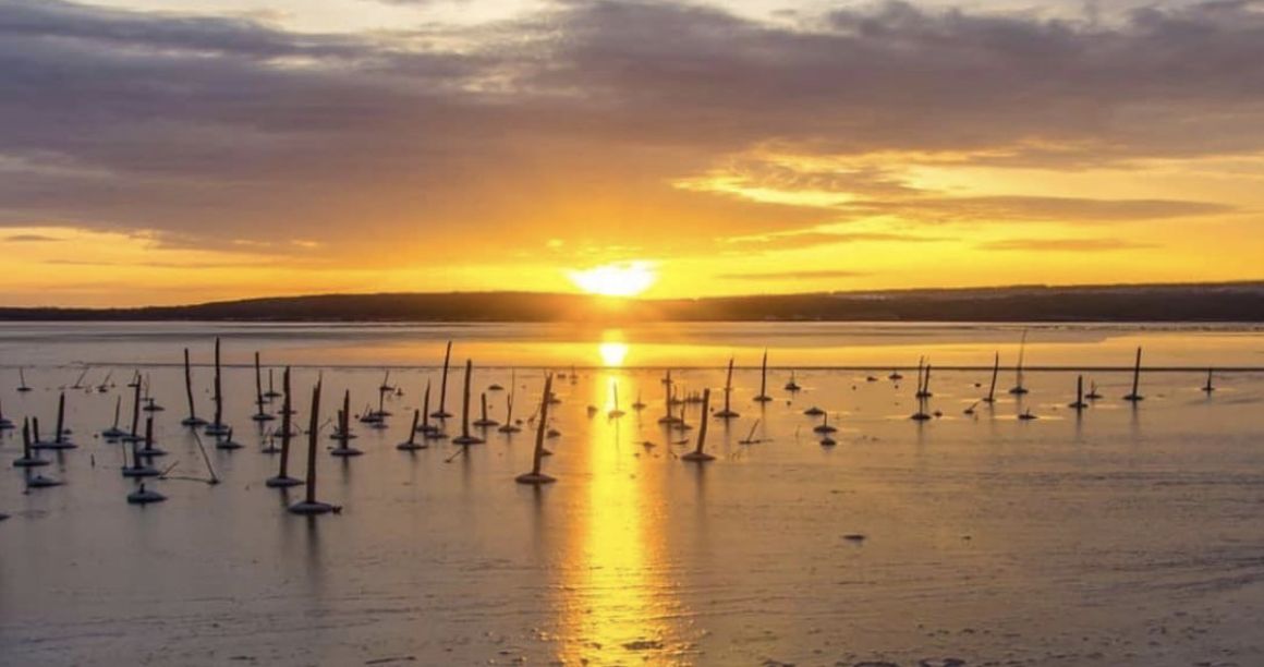 �������� ����� ������������� ����� �� �������� �������