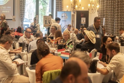 Итоги конкурса крепких напитков: Мексика на пьедестале