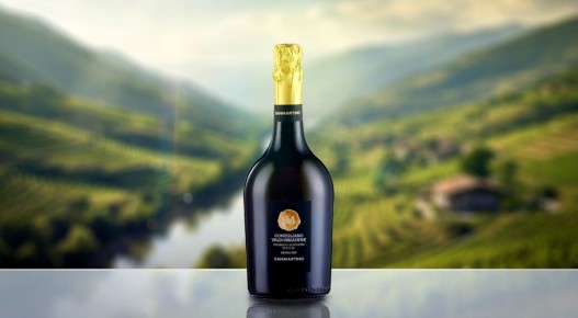 Элегантные игристые вина от San Martino: путеводитель по вкусам