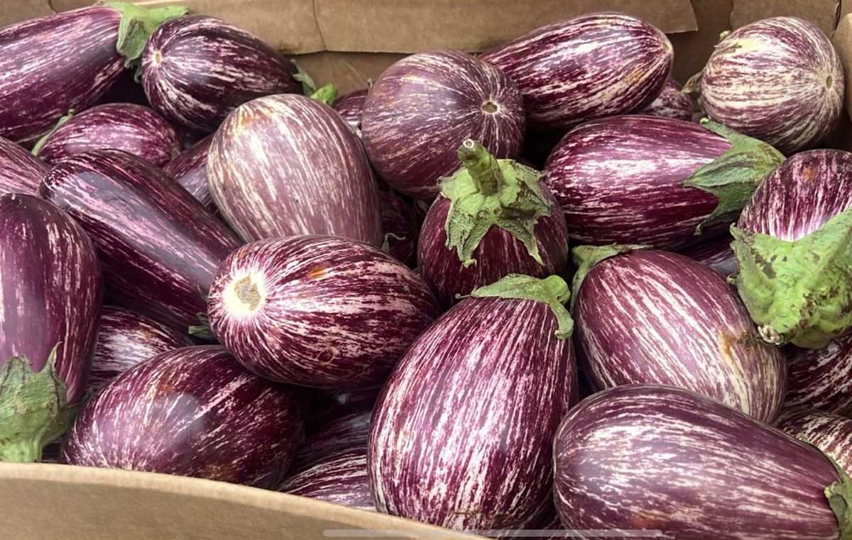 ������� ��������� �����: ��� ���������� �� ������ � ����������� � ����������