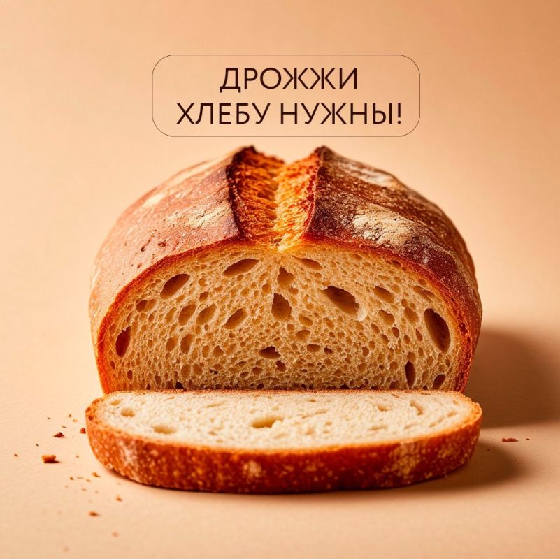 ������ ������ ������ �������� ���� � �����?