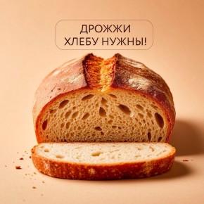 Почему дрожжи играют ключевую роль в хлебе?