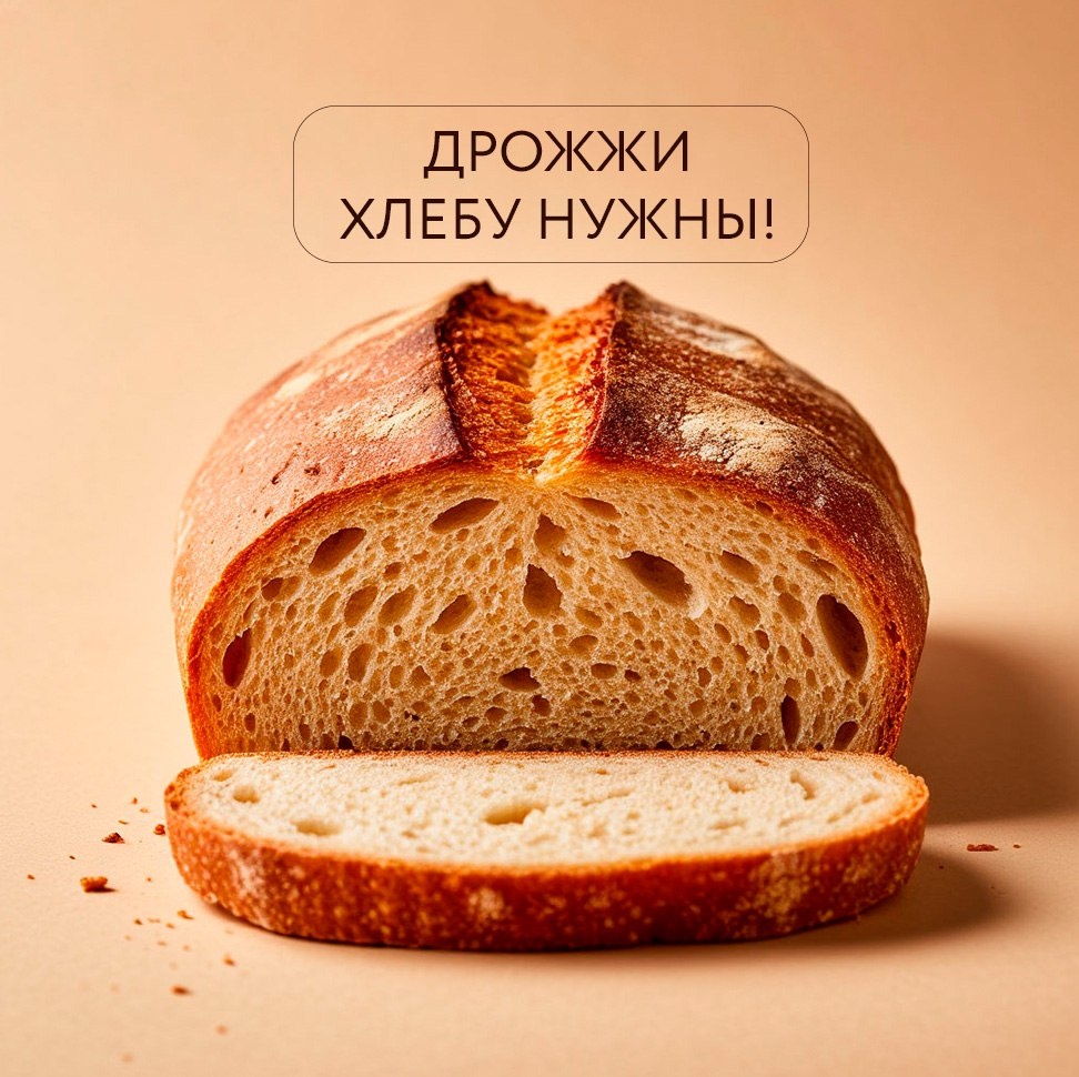 Почему дрожжи играют ключевую роль в хлебе?