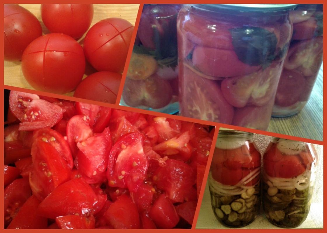 ����������� ���������: ������ ������� �� ����� ����