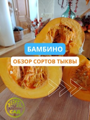 ��� ����� ����� �����: ����������� � �������