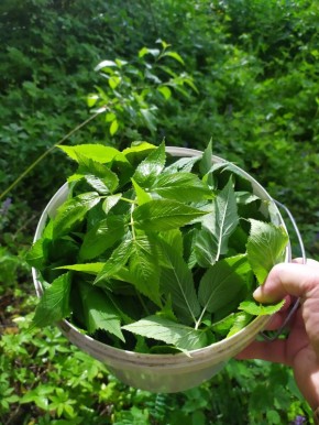 ������� �� ������: ������ � ������ �� ������ ����