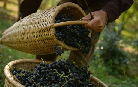 ����: ��������� ������������ � �������� �����������