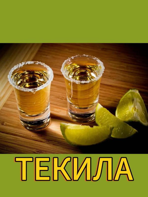 ������: ��������� � �������� � �������� ������������