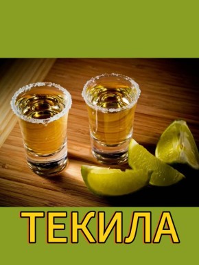 ������: ��������� � �������� � �������� ������������