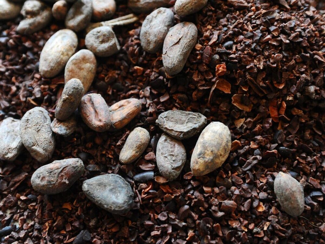 ���� �� �����-���� ������������ ������: ���� 3900 �������� �� �����