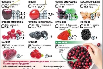 Сколько ягод безопасно для здоровья: разбираем сахаросодержащие хитрости