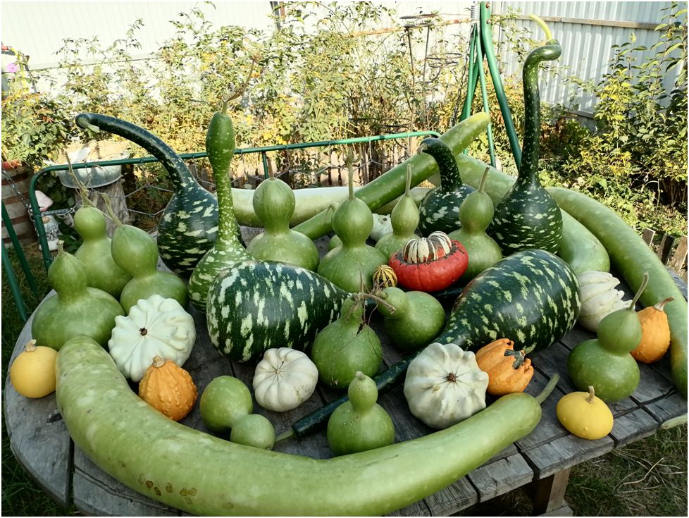 ���������: ������� ��������� ����������� ������������� ��������